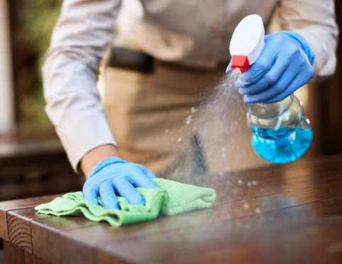 Professional cleaners near Simi Valley